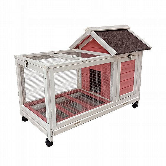 ��� �� �������� ��� ���