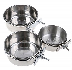 ���� ������� 