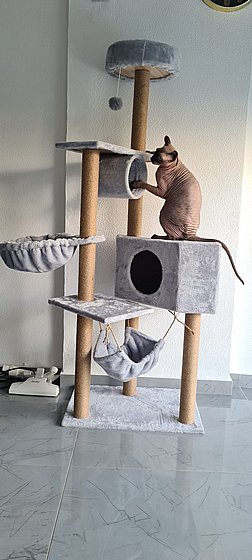 ���� ����� ��� 011