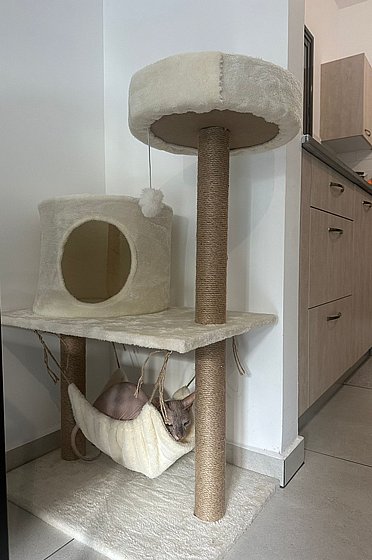 ���� ����� ��� 040