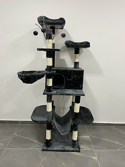 ���� ����� ��� 899